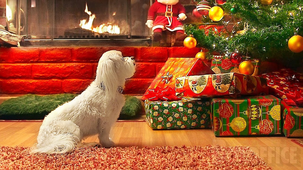 Le Gardien de Noël | Film Complet en Français | Film de Noël, image size:1280x720