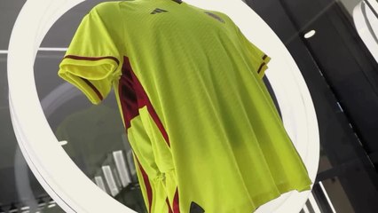 Willy, Iguarán, Higuita... Leyendas de Selección en los 100 años de la FCF