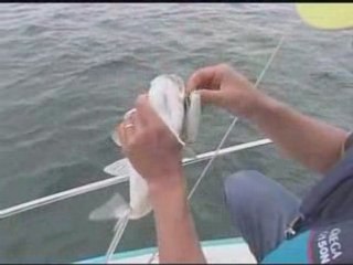 Le Bar en Bateau aux Leurres avec Hiroshi