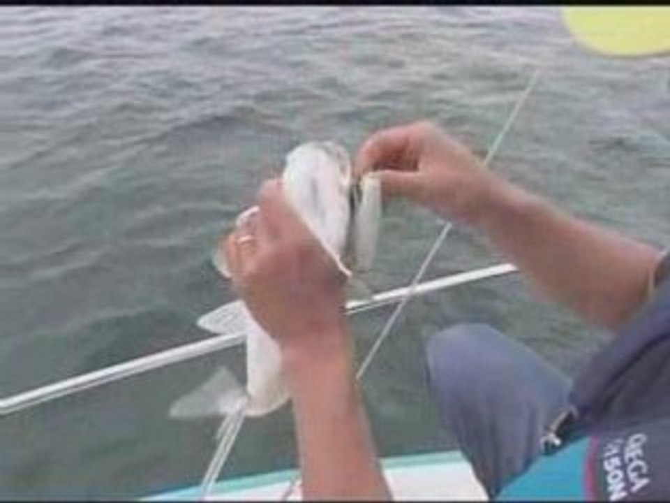 Le Bar en Bateau aux Leurres avec Hiroshi