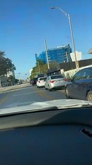 Guy Rides On Back Of Miami Dade Bus