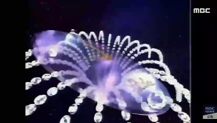 1988년~2000년 설날 MBC 뉴스데스크 시보 고화질