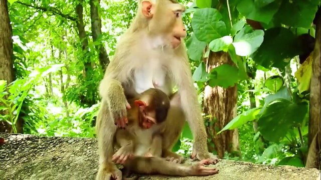 Sarika Mom Still didn't Share the Food to Poor Saro Baby (720p_25fps_H264-192kbit_AAC)