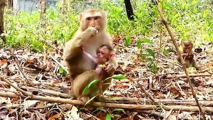 Sarika Mother Lifts In Chest And Stands Up With Super Actions (720p_25fps_H264-192kbit_AAC)