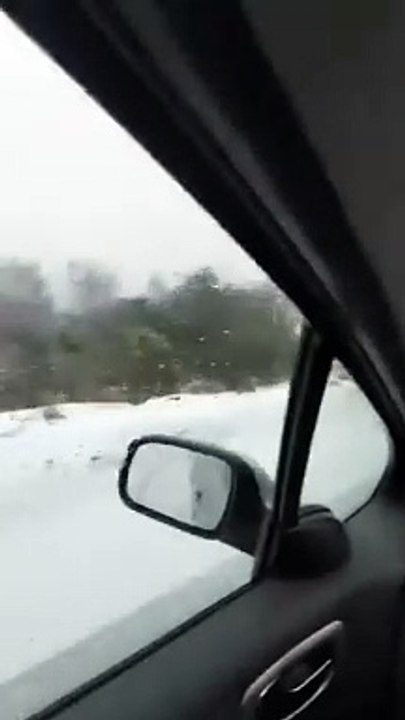 Neve Montalegre