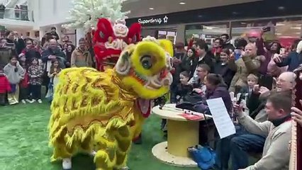 Chinese New Year Leeds 2024: Enchanting footage from the Merrion Centre celebrations