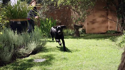 Capitola Media | Video Production San Francisco