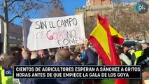 Cientos de agricultores esperan a Sánchez a gritos horas antes de que empiece la gala de los Goya
