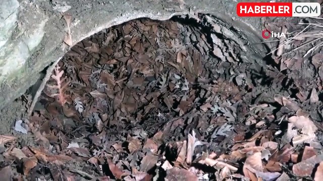 Hatay'da 9 gündür kayıp olan hamile kadın ve 2 çocuğunun cesedi toprağa gömülü halde bulundu