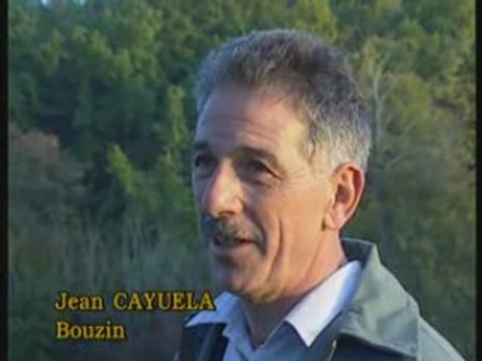 Le Lievre aux Chiens courants