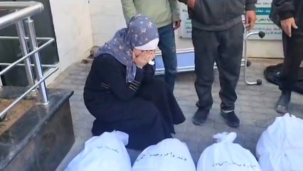 عاشت الرعب الحقيقي.. مقتل الطفلة هند شهادة جديدة على وحشية الاحتلال