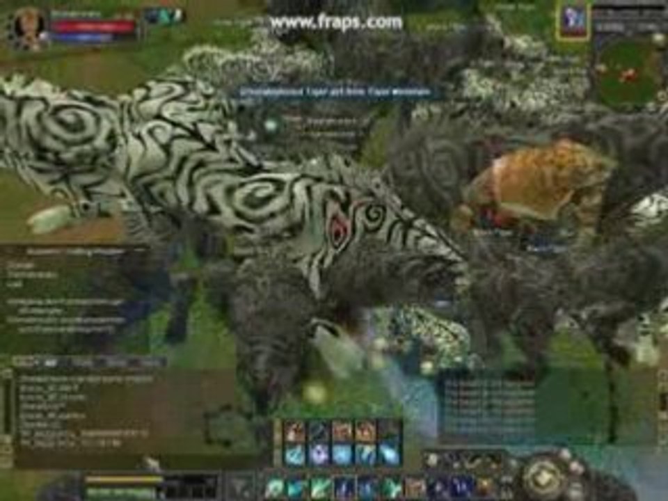 Tigergirl kill kst from my own guildmaster