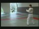 Le Taekwondo : coups de pied et techniques de combat