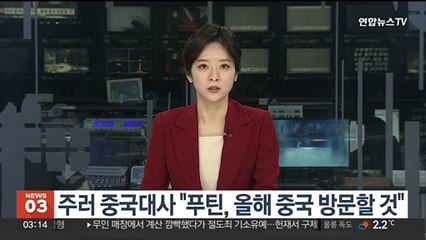 주러 중국대사 "푸틴, 올해 중국 방문할 것"