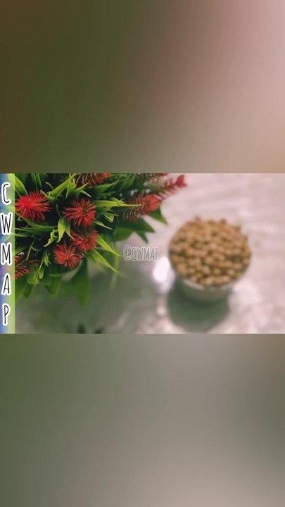 How to Make Tempeh at Home from SCRATCH! | Vega...