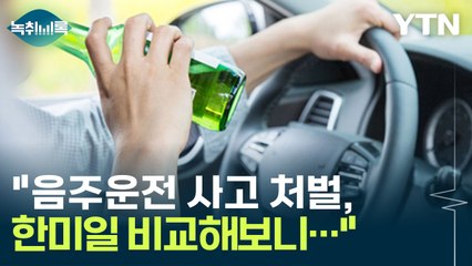 "음주운전 사고 처벌, 한미일 비교해보니..." [Y녹취록] / YTN
