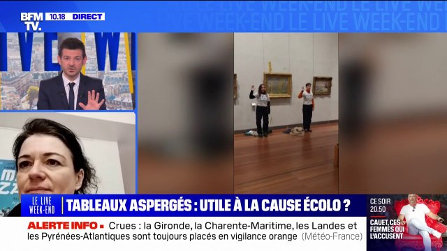 Tableau de Monet aspergé de soupe à Lyon: l'adjointe à la mairie en charge de la culture condamne l'action des militantes écologistes