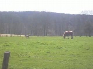 La maman et son ptit poulain