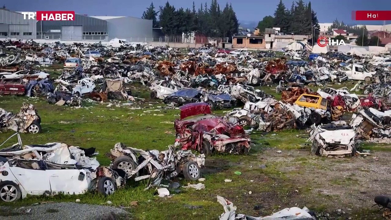 Hurda araç mezarlığı koyunlara otlak oldu