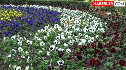 Adana'da kışın ortasında bahar havası