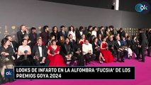 Looks de infarto en la alfombra 'fucsia' de los Premios Goya 2024