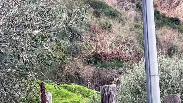 Un giallo legato ai resti trovati nel giardino di Altavilla Milicia