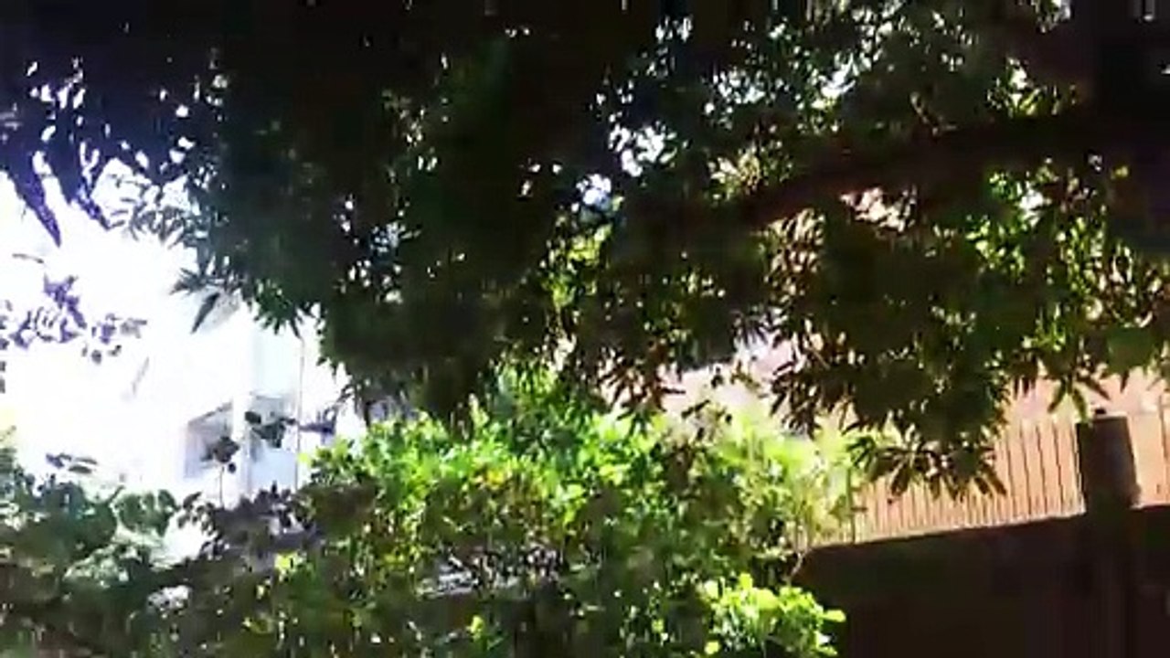 Hindi ako si Eric! (at hindi ako si Jay Ar!) Birthday of my Tita | Marky Stories | #SV 14