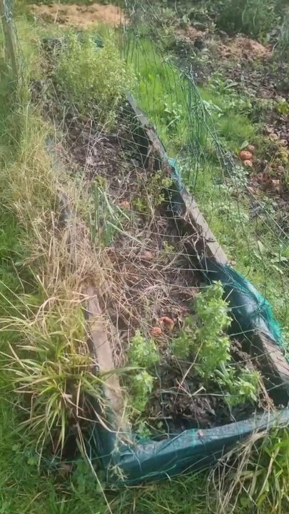 Mon Potager #2 : Je remets le potager en état après l'hiver !  (Exclusivité Dailymotion)
