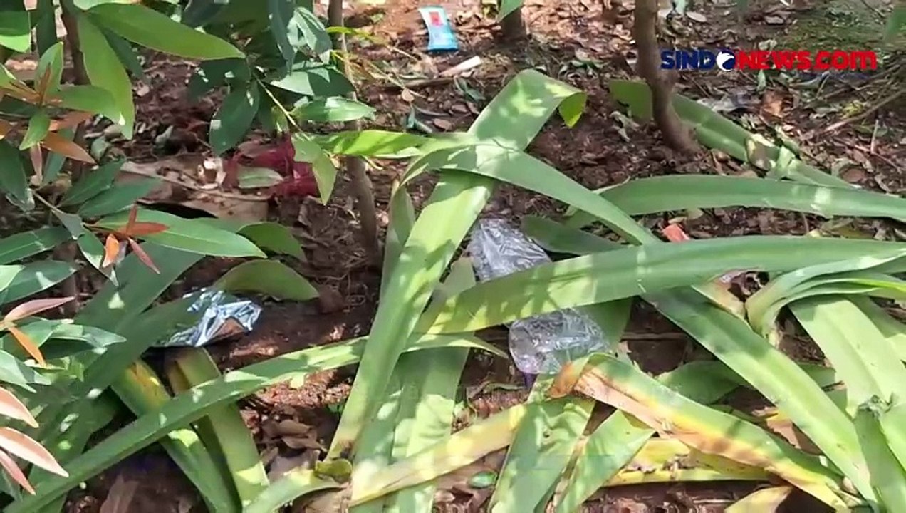 Pascakampanye Akbar Prabowo-Gibran, Taman Sekitar GBK Rusak hingga Penuh Sampah