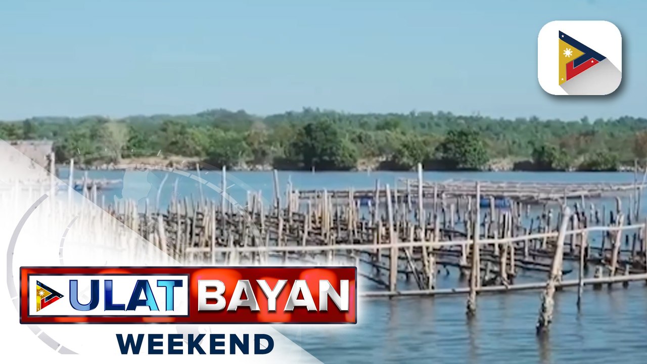 'Modified Raft Technology,' inaasahang magpapalakas sa produksyon ng talaba