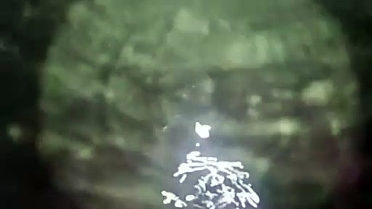 Water as the Source of Life 3