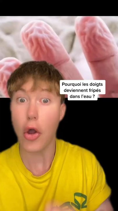 Pourquoi la peau des doigts devient fripée dans l’eau ?