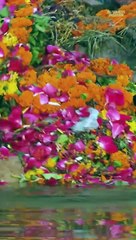 Why temples in _India struggle to reduce _waste leftover from worship. _sustainability(1080P_HD)