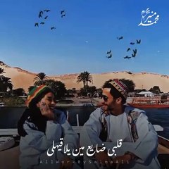 محمد منير قلبى ضايع