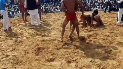 कुश्ती दंगल में पहलवानों ने दिखाए दांवपेज...देखे वीडियो