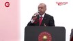 Erdoğan, seçimde rakip ilan ettiği Sisi'ye gidiyor