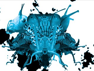 LenouveauJack Demo Reel 2007