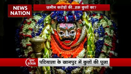 Sixer: पंजाब का ऐसा गांव जहां है कुत्तों का मंदिर, पटियाला में लोग करते हैं हर दिन पूजा