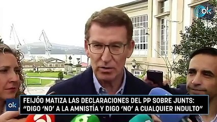Feijóo matiza las declaraciones del PP sobre Junts: “Digo ‘no’ a la amnistía y digo ‘no’ a cualquier indulto”