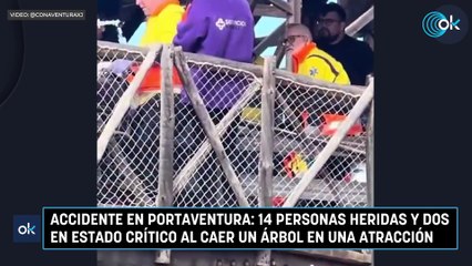 Accidente en PortAventura: 14 personas heridas y dos en estado crítico al caer un árbol en una atracción
