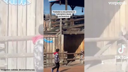 Una decena de heridos, dos en estado crítico, tras la caída de un árbol en PortAventura