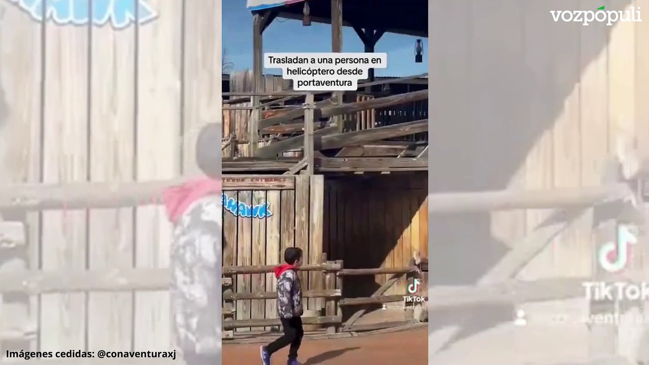 Una decena de heridos, dos en estado crítico, tras la caída de un árbol en PortAventura