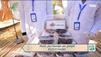 مؤسسة نبض الحياة تنجح في زراعة 6 مراحل من مشروع وقف النخيل الخيري بالفرافرة