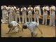 Les bases techniques de la Capoeira