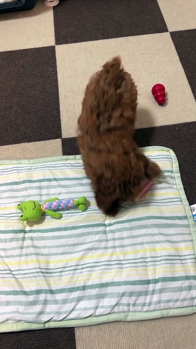 My first toys