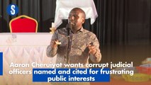 Aaron Cheruiyot wants corrupt judicial officers named and cited for frustrating public interests
