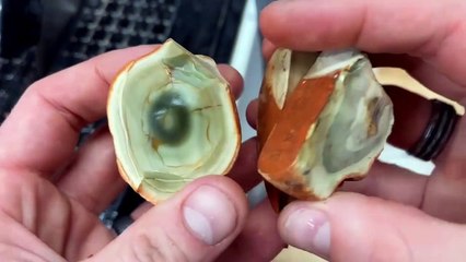 Cutting Royal Imperial Jasper Open! (First Time)