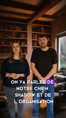 notre quotidien avec notre chien Shadow!