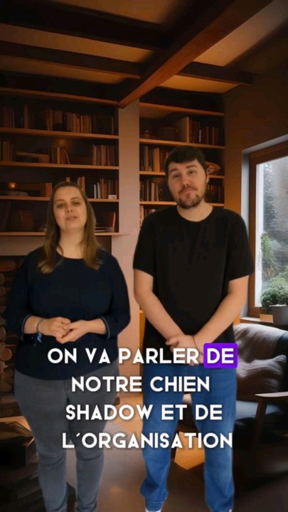 notre quotidien avec notre chien Shadow!