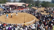 There was a huge crowd of devotees in Baba Ramdev's fair, wrestling da